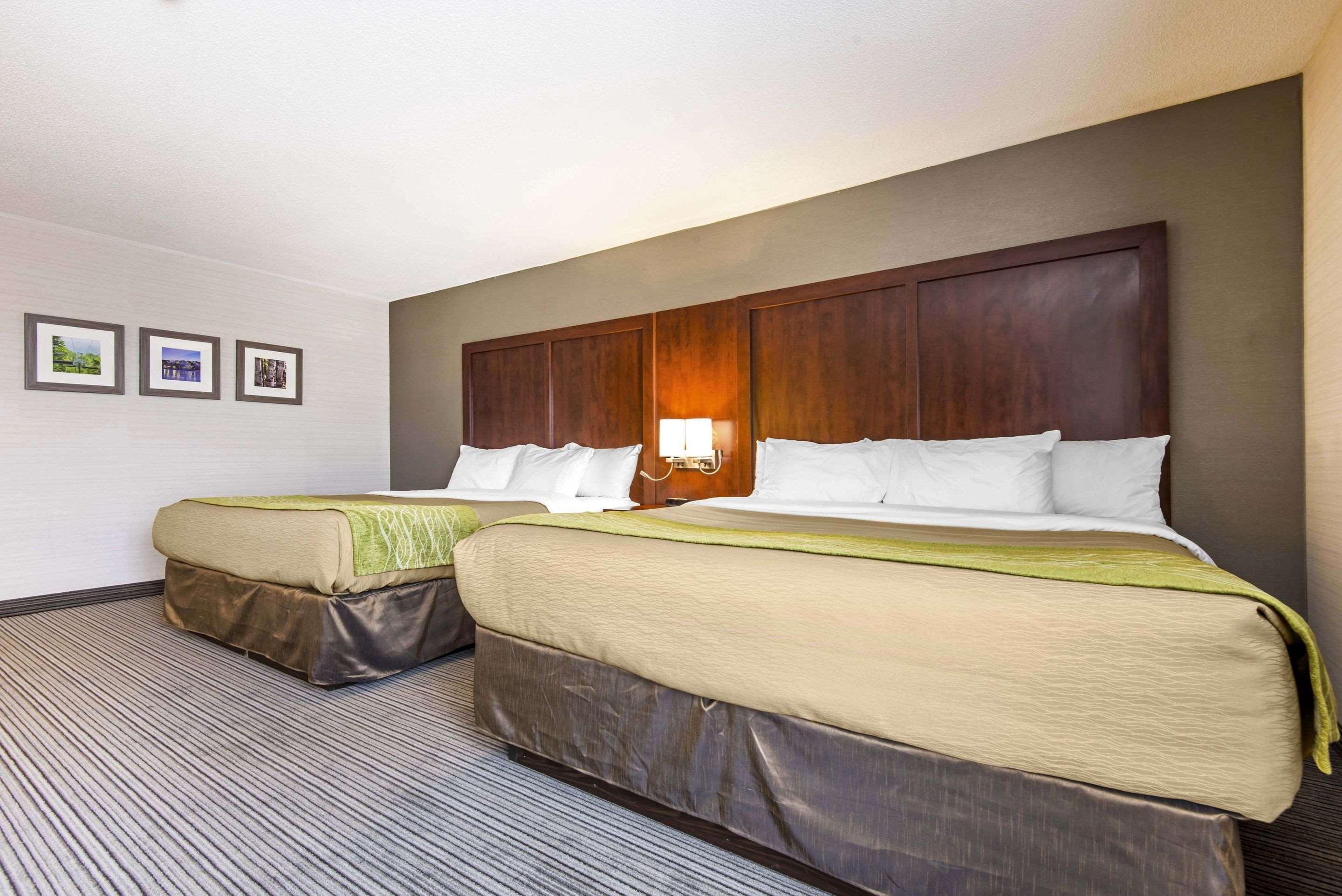 Comfort Inn & Suites Колингууд Екстериор снимка